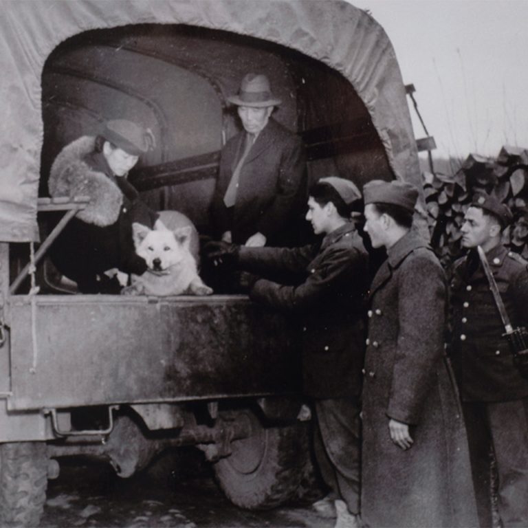 Courtesy of the Museum of History and Industry