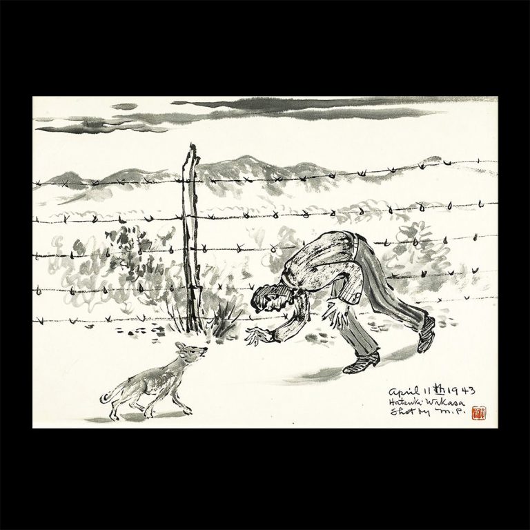 Courtesy of the Smithsonian Institution