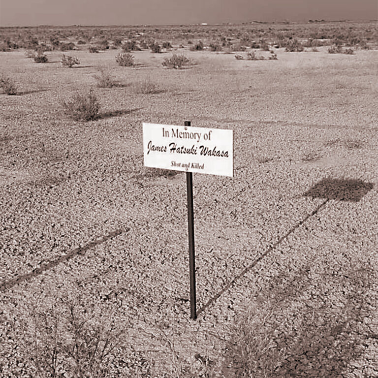 Courtesy of The North American Post