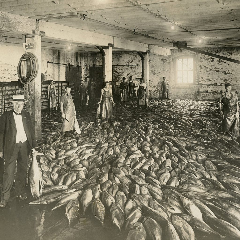 A thriving tuna cannery on Terminal Island, credit Angel City Press