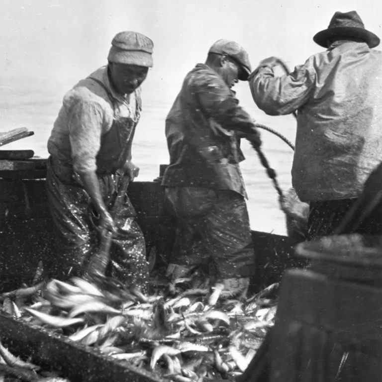 Courtesy of Angel City Press