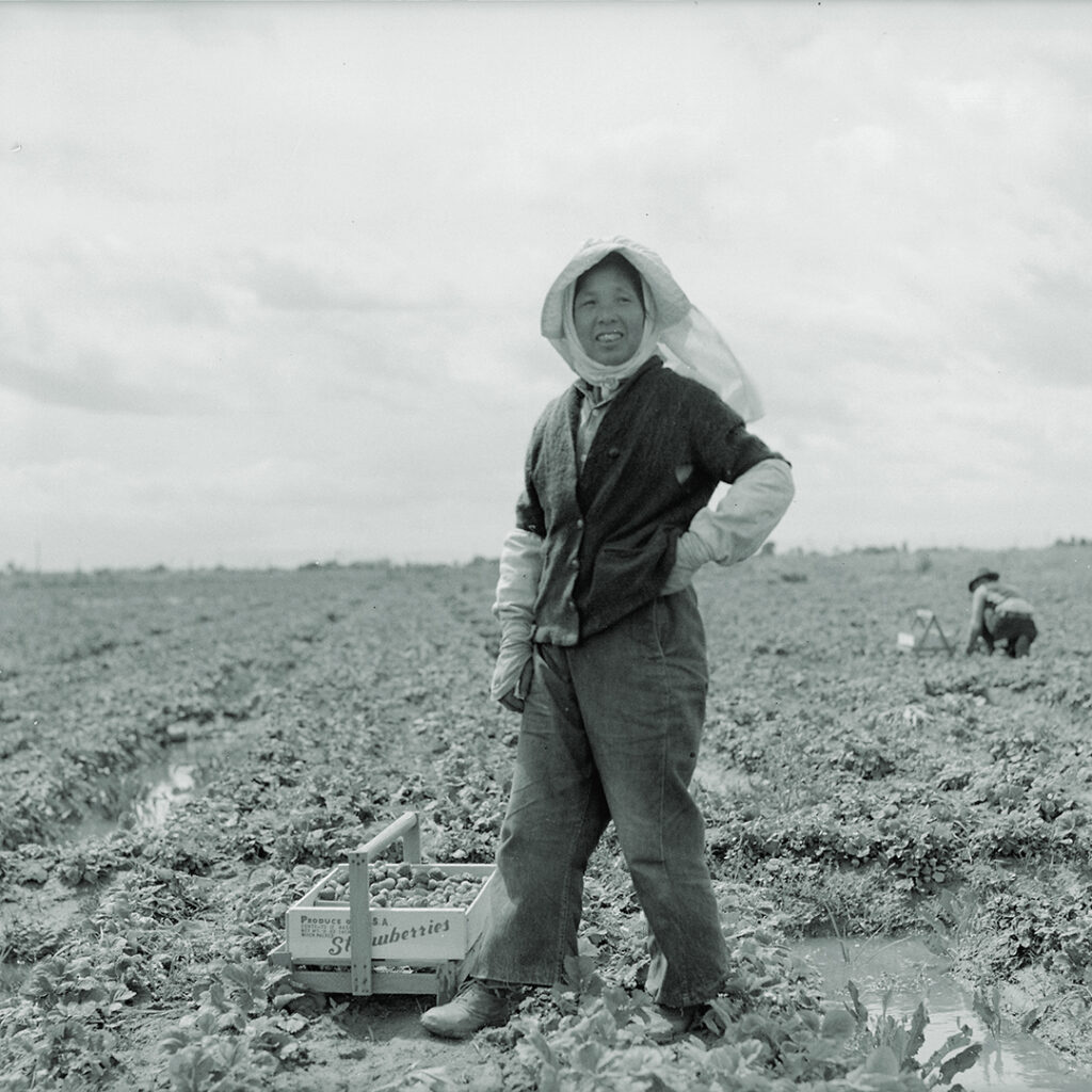 Farm mother of Japanese ancestry, Florin, California, May 11, 1942, credit Dorothea Lange