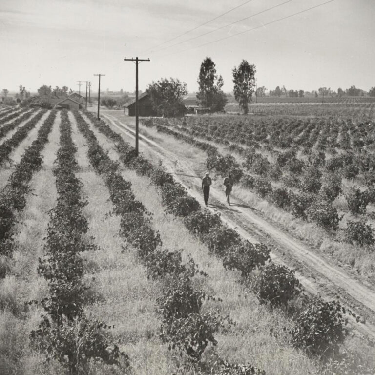 Photo by Francis Stewart, Courtesy of UC Berkeley Bancroft Library