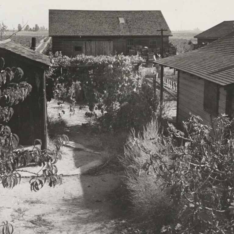 Photo by Francis Stewart, Courtesy of UC Berkeley Bancroft Library