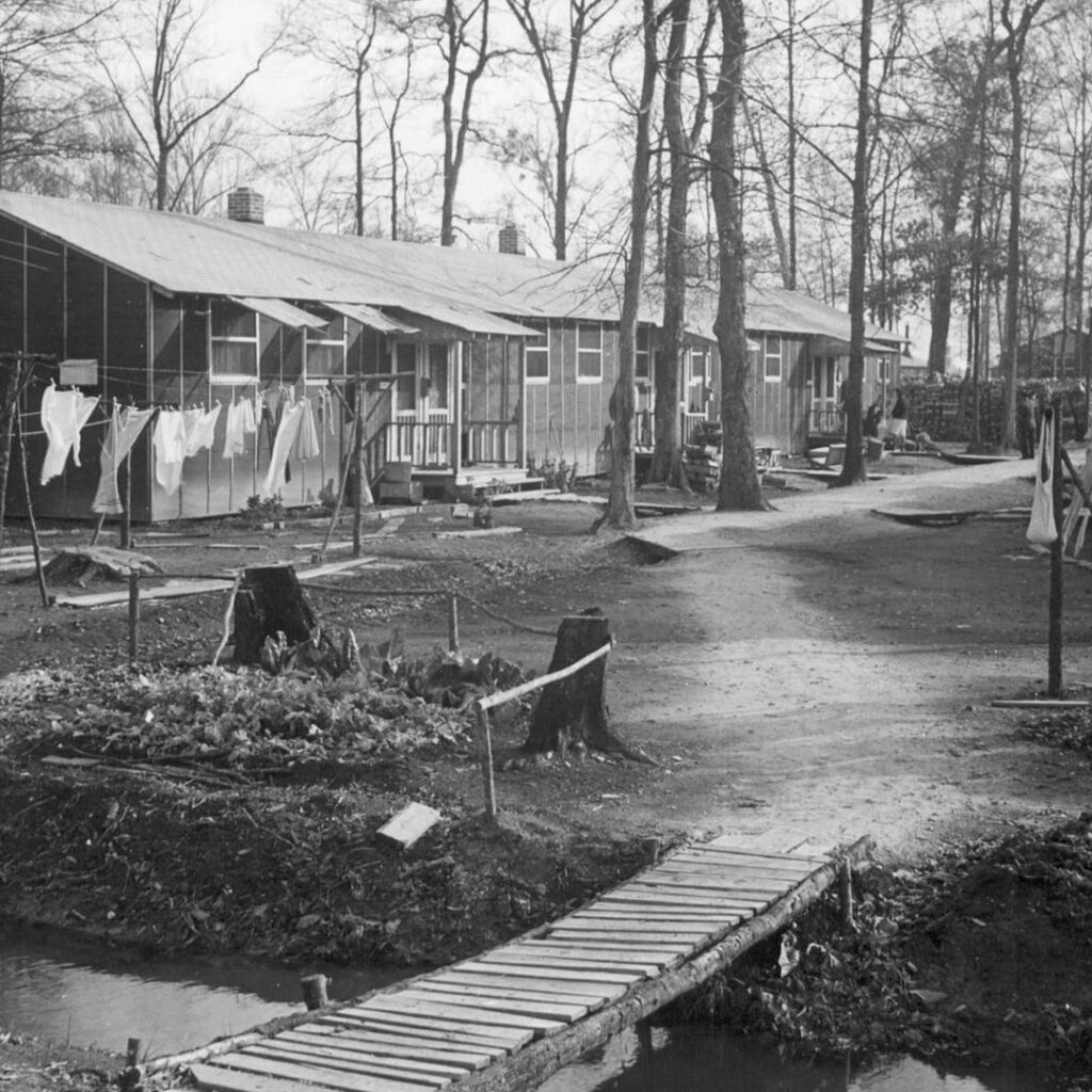 Rohwer incarceration camp in the swamps of Arkansas.