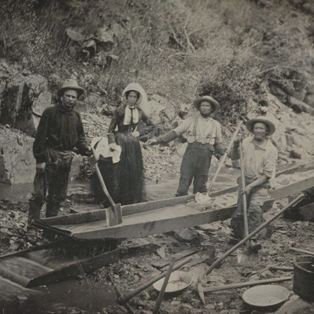 Placer miners in California during the Gold Rush, c. 1852 Placer miners in California during the Gold Rush, c. 1852
