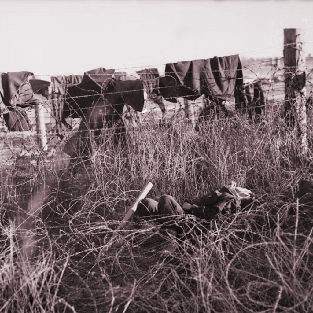 the morning after the Cowra escape