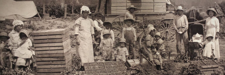 Japanese American farmer family in Auburn, California. Courtesy of the White River Valley Museum