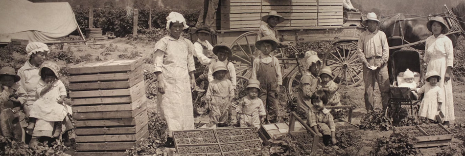 Japanese American farmer family in Auburn, California. Courtesy of the White River Valley Museum