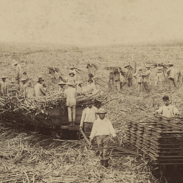 From “The Riches and Marvels of Hawaii” by John L. Stevens