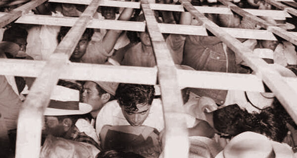 Immigrants packed into trucks during Operation Wetback, June 9, 1954, Courtesy of the U.S. Border Patrol Museum