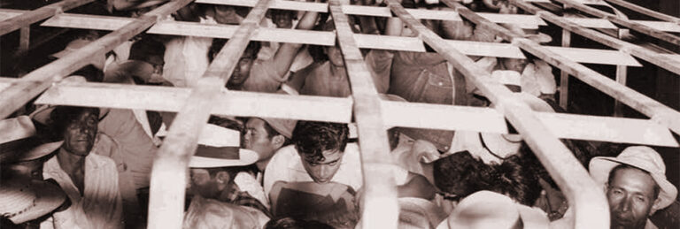 Immigrants packed into trucks during Operation Wetback, June 9, 1954, Courtesy of the U.S. Border Patrol Museum
